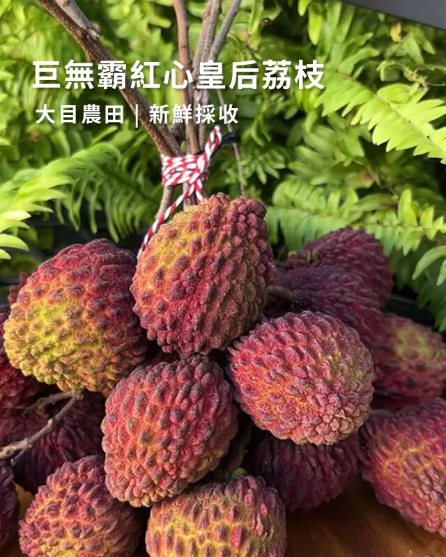 大目農田