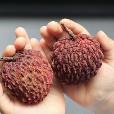 紅玉荔枝