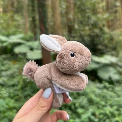 臺灣野兔磁鐵布偶
