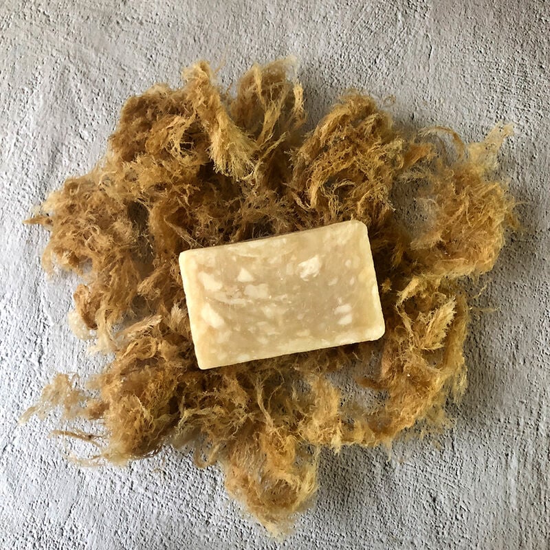 石花菜 潔膚皂, , hi-res image number null