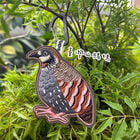 臺灣山鷓鴣-台灣特有種刺繡吊牌, , hi-res