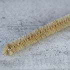 豬毛溝槽刷, , hi-res