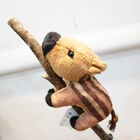 臺灣野豬磁鐵布偶, , hi-res