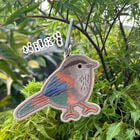 褐頭花翼-台灣特有種刺繡吊牌, , hi-res