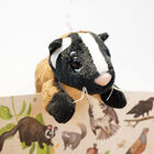 白鼻心磁鐵布偶, , hi-res