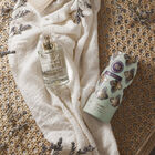 法國聖朵波緹 Senteur et Beaute-天使來過淡香精50ML, , hi-res